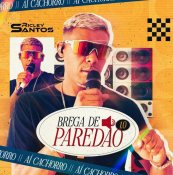 BREGA DE PAREDAO - PRA COMER ÀGUA 1.0